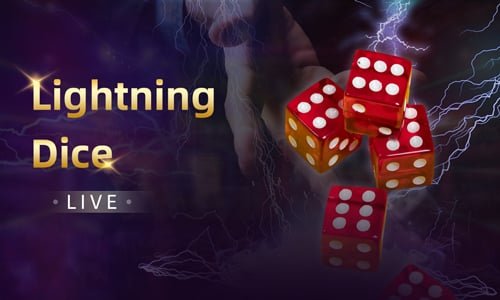 775 bet 775 bet